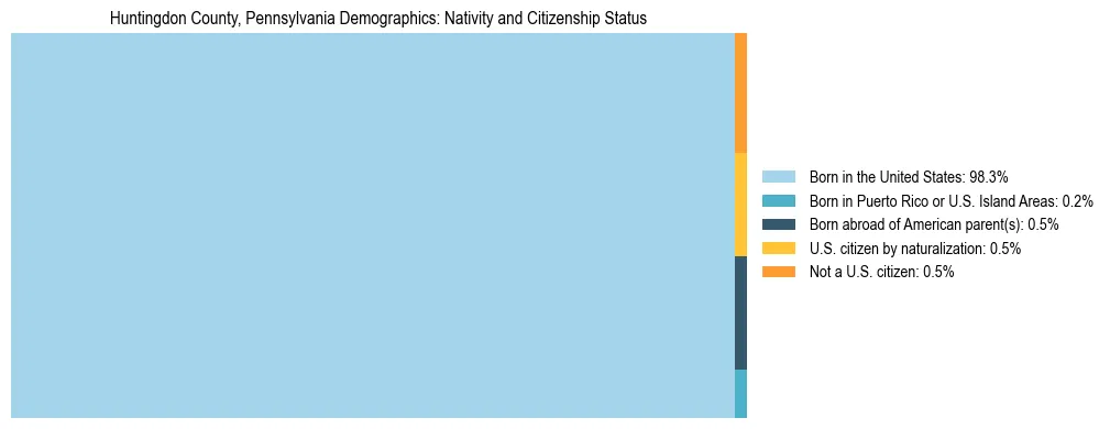 Treemap showing the population distribution by nativity and citizenship status in Huntingdon County, Pennsylvania based on U.S. Census data.