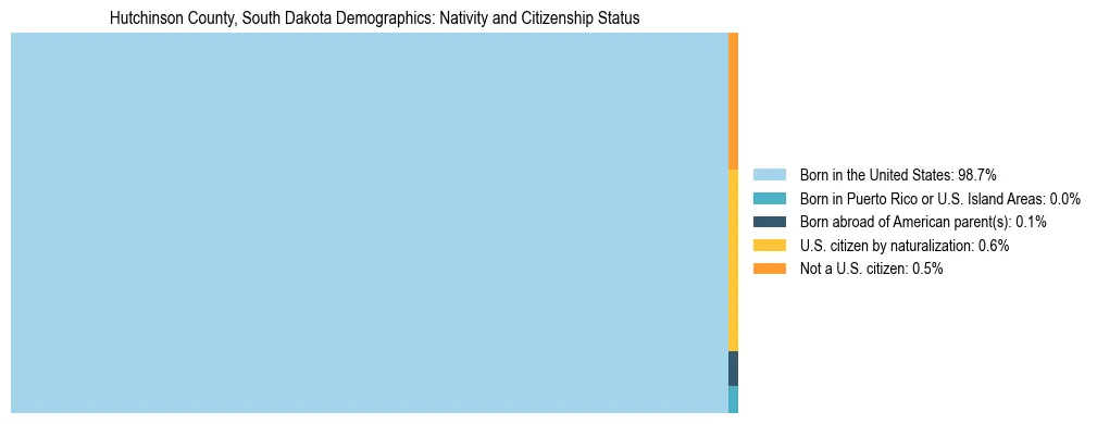 Treemap showing the population distribution by nativity and citizenship status in Hutchinson County, South Dakota based on U.S. Census data.