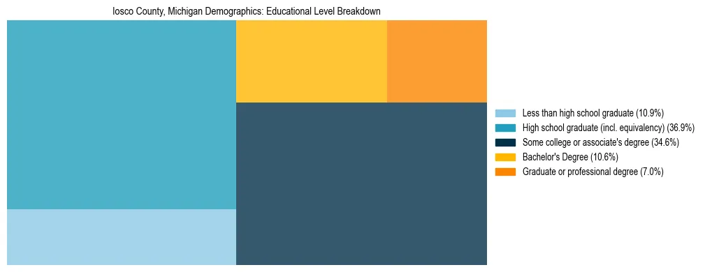 Treemap chart illustrating the educational attainment breakdown for population 25 years and over in Iosco County, Michigan.
