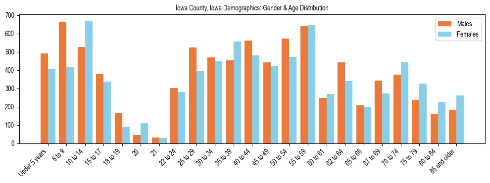 Bar chart showing the population distribution of Iowa County, Iowa by age group and gender, based on 2023 ACS data.