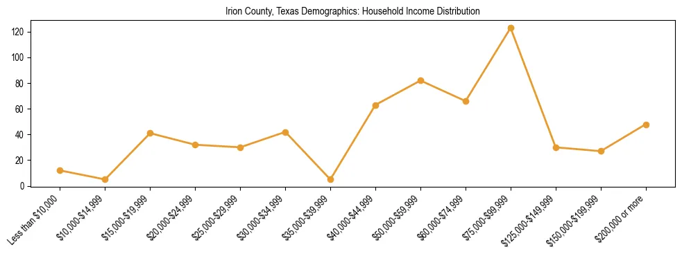 Horizontal bar chart showing household income distribution in Irion County, Texas.