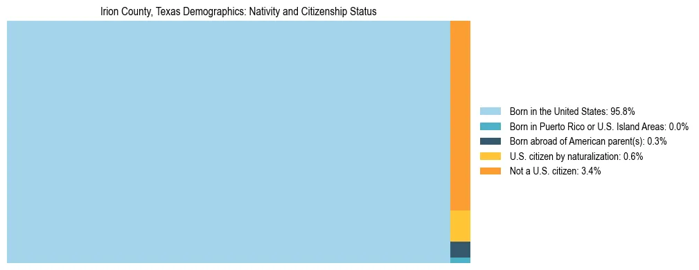 Treemap showing the population distribution by nativity and citizenship status in Irion County, Texas based on U.S. Census data.