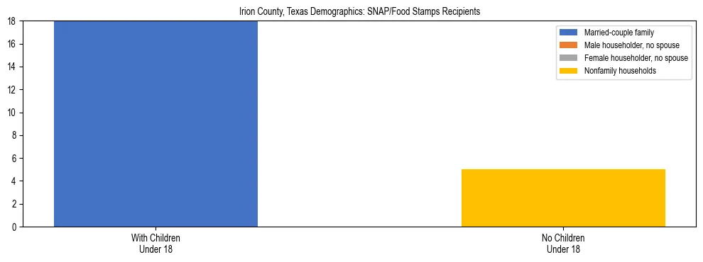 Stacked bar chart showing SNAP/Food Stamps recipient household composition by presence of children under 18 in Irion County, Texas, based on 2023 ACS data.