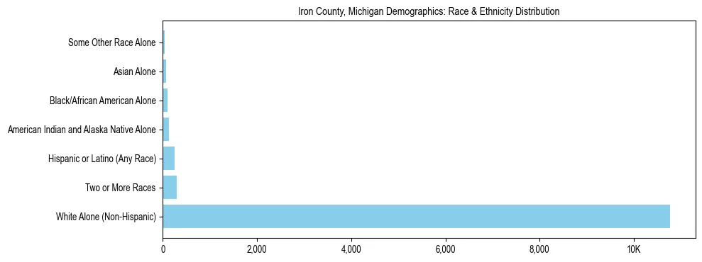 Race and Ethnicity Distribution Chart for Iron County, Michigan