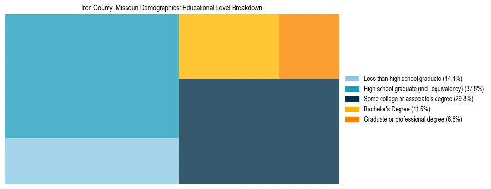 Treemap chart illustrating the educational attainment breakdown for population 25 years and over in Iron County, Missouri.