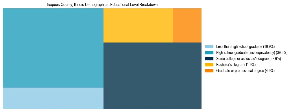 Treemap chart illustrating the educational attainment breakdown for population 25 years and over in Iroquois County, Illinois.