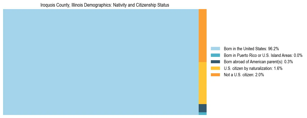 Treemap showing the population distribution by nativity and citizenship status in Iroquois County, Illinois based on U.S. Census data.
