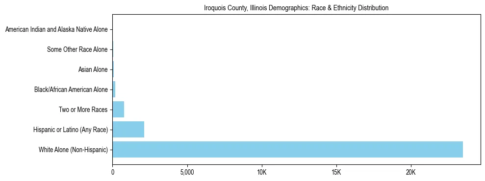 Race and Ethnicity Distribution Chart for Iroquois County, Illinois