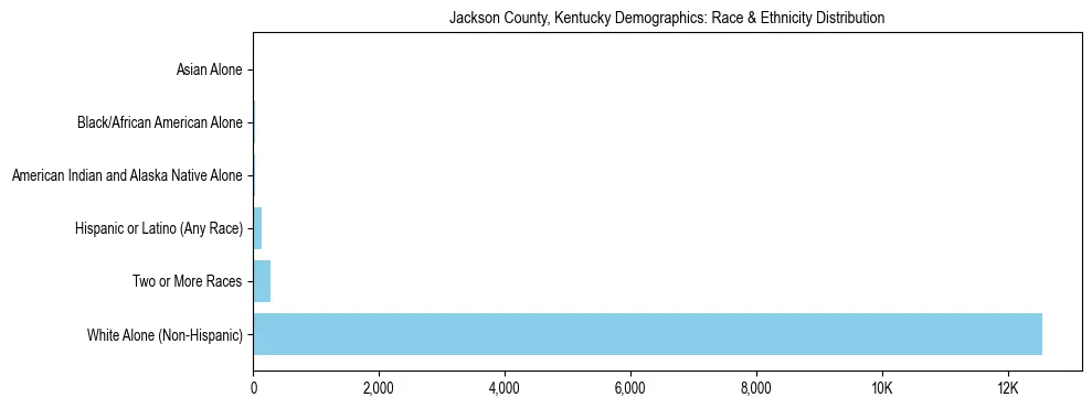 Race and Ethnicity Distribution Chart for Jackson County, Kentucky