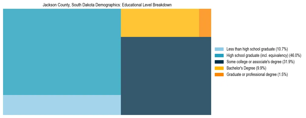 Treemap chart illustrating the educational attainment breakdown for population 25 years and over in Jackson County, South Dakota.