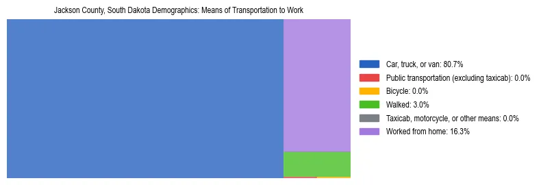 Treemap showing means of transportation to work distribution in Jackson County, South Dakota.