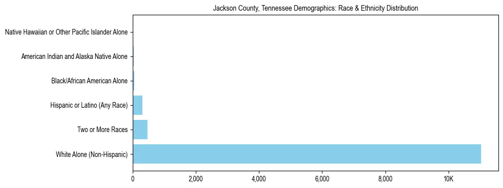 Race and Ethnicity Distribution Chart for Jackson County, Tennessee