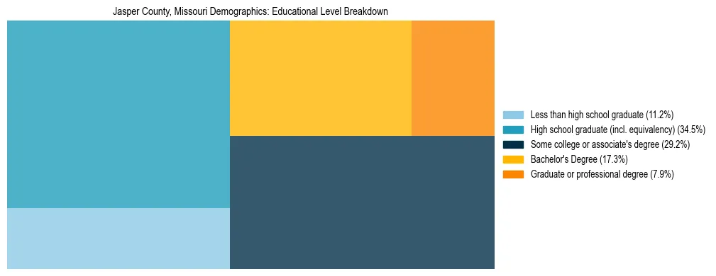 Treemap chart illustrating the educational attainment breakdown for population 25 years and over in Jasper County, Missouri.