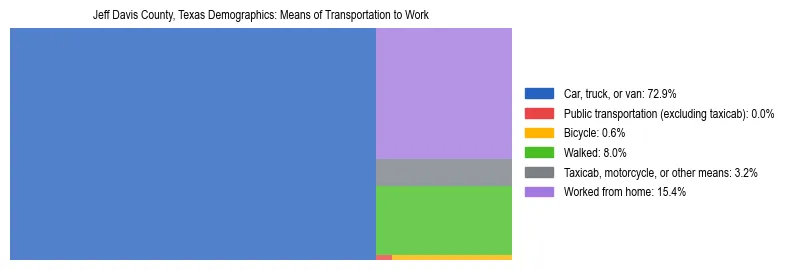 Treemap showing means of transportation to work distribution in Jeff Davis County, Texas.