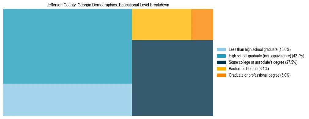 Treemap chart illustrating the educational attainment breakdown for population 25 years and over in Jefferson County, Georgia.