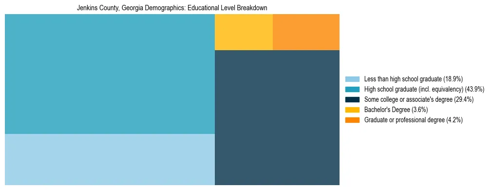 Treemap chart illustrating the educational attainment breakdown for population 25 years and over in Jenkins County, Georgia.