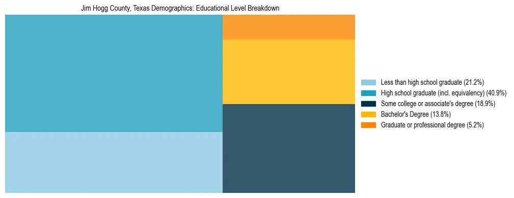 Treemap chart illustrating the educational attainment breakdown for population 25 years and over in Jim Hogg County, Texas.