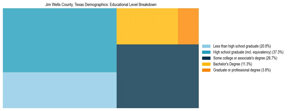 Treemap chart illustrating the educational attainment breakdown for population 25 years and over in Jim Wells County, Texas.