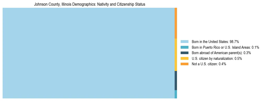 Treemap showing the population distribution by nativity and citizenship status in Johnson County, Illinois based on U.S. Census data.