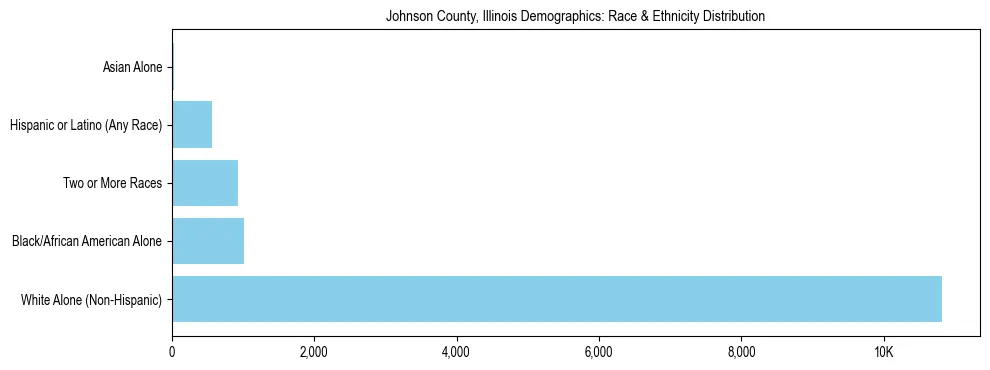 Race and Ethnicity Distribution Chart for Johnson County, Illinois