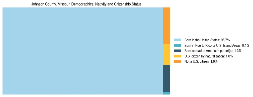 Treemap showing the population distribution by nativity and citizenship status in Johnson County, Missouri based on U.S. Census data.