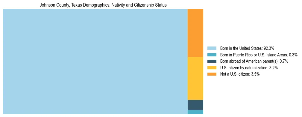 Treemap showing the population distribution by nativity and citizenship status in Johnson County, Texas based on U.S. Census data.