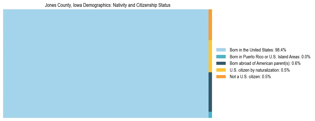 Treemap showing the population distribution by nativity and citizenship status in Jones County, Iowa based on U.S. Census data.