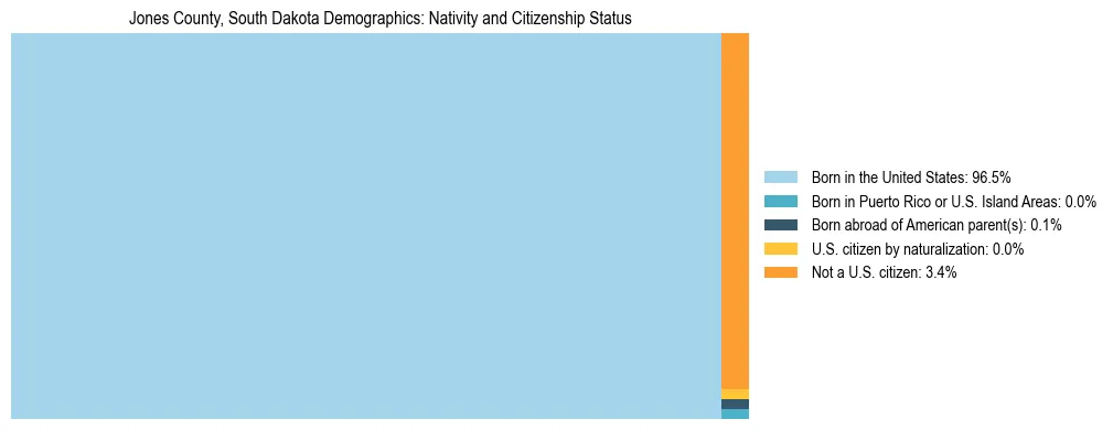 Treemap showing the population distribution by nativity and citizenship status in Jones County, South Dakota based on U.S. Census data.