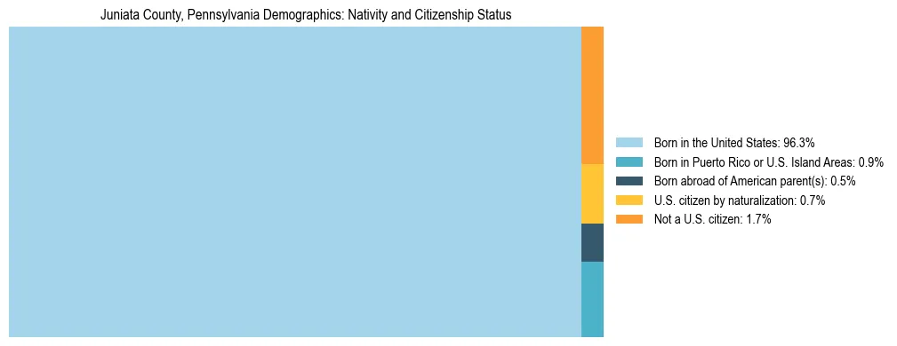 Treemap showing the population distribution by nativity and citizenship status in Juniata County, Pennsylvania based on U.S. Census data.
