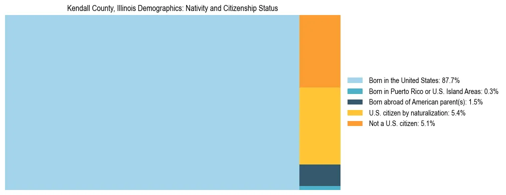 Treemap showing the population distribution by nativity and citizenship status in Kendall County, Illinois based on U.S. Census data.