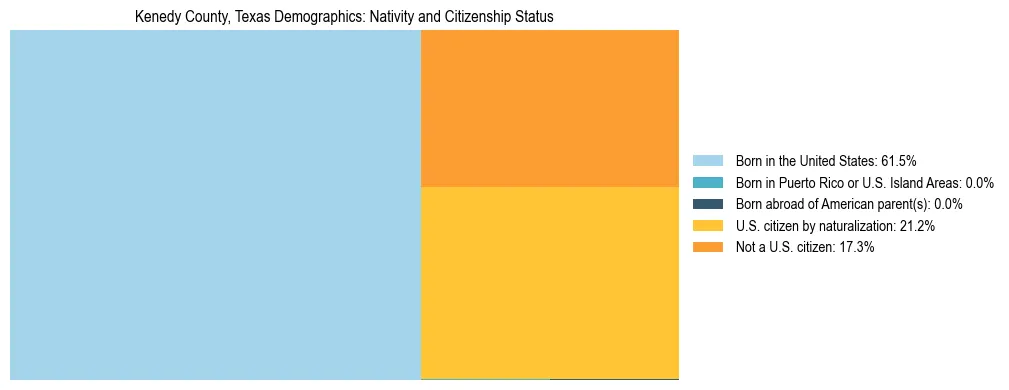 Treemap showing the population distribution by nativity and citizenship status in Kenedy County, Texas based on U.S. Census data.