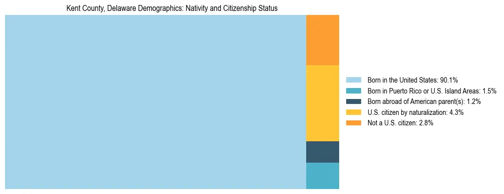Treemap showing the population distribution by nativity and citizenship status in Kent County, Delaware based on U.S. Census data.