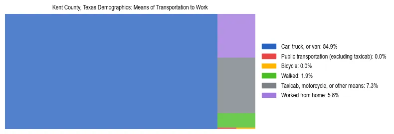 Treemap showing means of transportation to work distribution in Kent County, Texas.