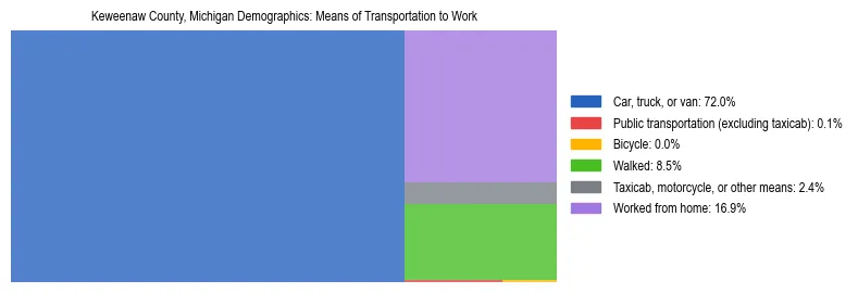 Treemap showing means of transportation to work distribution in Keweenaw County, Michigan.