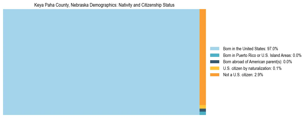 Treemap showing the population distribution by nativity and citizenship status in Keya Paha County, Nebraska based on U.S. Census data.