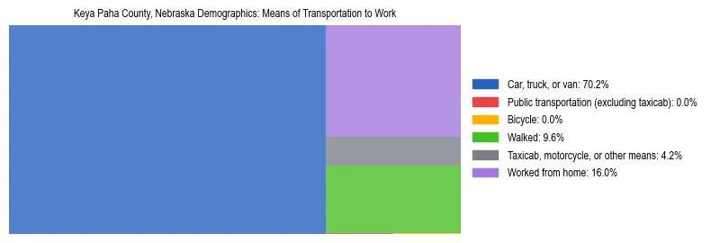 Treemap showing means of transportation to work distribution in Keya Paha County, Nebraska.
