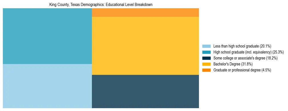 Treemap chart illustrating the educational attainment breakdown for population 25 years and over in King County, Texas.