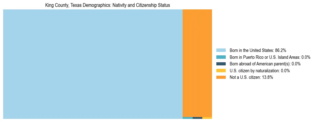 Treemap showing the population distribution by nativity and citizenship status in King County, Texas based on U.S. Census data.