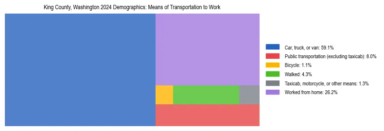 Treemap showing means of transportation to work distribution in King County, Washington.