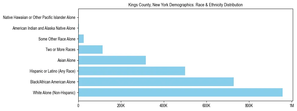 Race and Ethnicity Distribution Chart for Kings County, New York