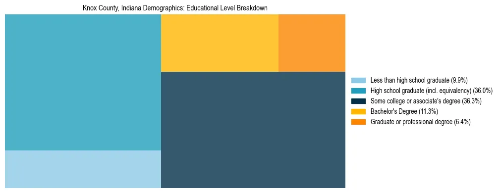 Treemap chart illustrating the educational attainment breakdown for population 25 years and over in Knox County, Indiana.