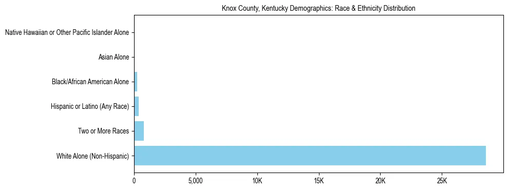 Race and Ethnicity Distribution Chart for Knox County, Kentucky