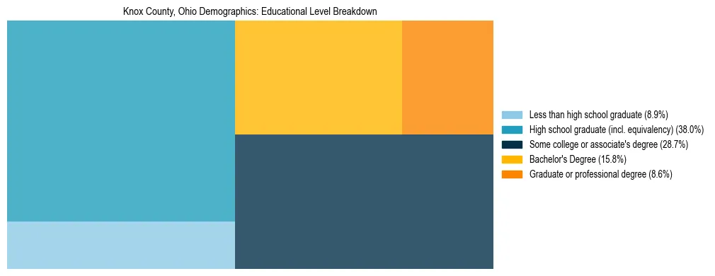 Treemap chart illustrating the educational attainment breakdown for population 25 years and over in Knox County, Ohio.