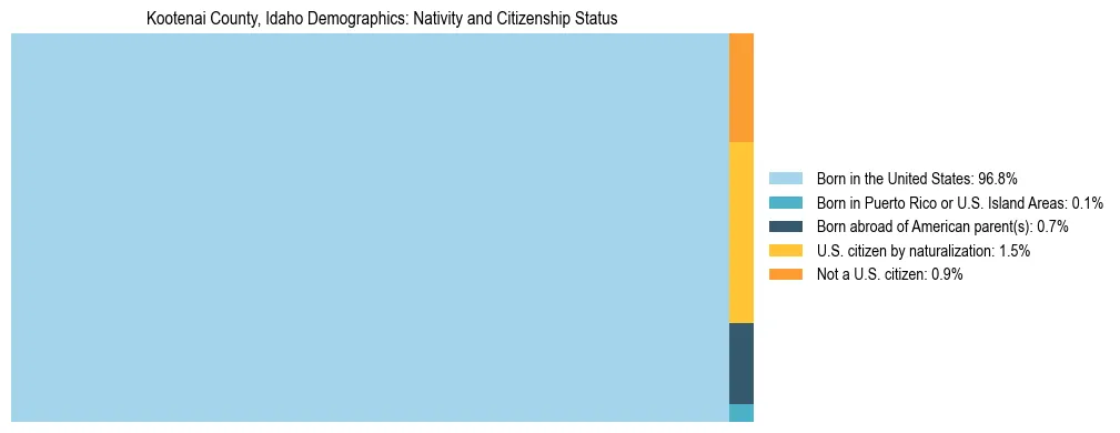 Treemap showing the population distribution by nativity and citizenship status in Kootenai County, Idaho based on U.S. Census data.
