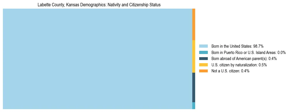 Treemap showing the population distribution by nativity and citizenship status in Labette County, Kansas based on U.S. Census data.