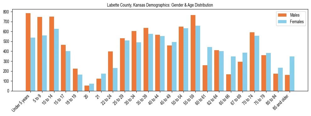 Bar chart showing the population distribution of Labette County, Kansas by age group and gender, based on 2023 ACS data.