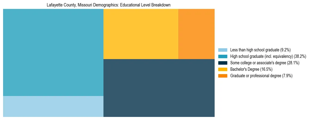 Treemap chart illustrating the educational attainment breakdown for population 25 years and over in Lafayette County, Missouri.