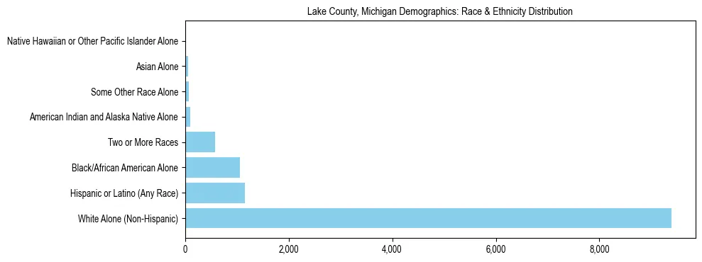 Race and Ethnicity Distribution Chart for Lake County, Michigan