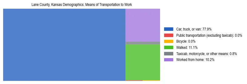 Treemap showing means of transportation to work distribution in Lane County, Kansas.