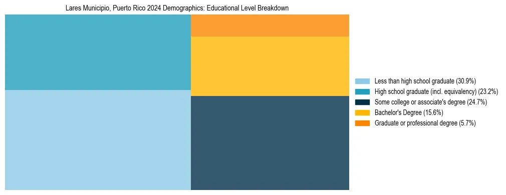 Treemap chart illustrating the educational attainment breakdown for population 25 years and over in Lares Municipio, Puerto Rico.